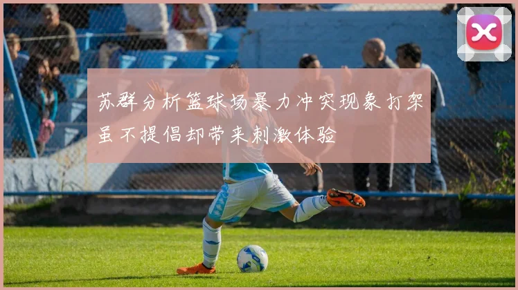 苏群分析篮球场暴力冲突现象打架虽不提倡却带来刺激体验